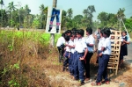  സീഡ് വിദ്യാര്‍ത്ഥികളുടെ സര്‍േവ: വൃക്ഷങ്ങളില്‍ പരസ്യം തടയുമെന്ന് പഞ്ചായത്തുകള്‍